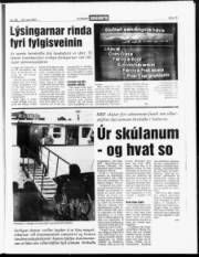 Síða 15