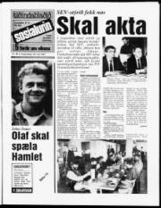 Síða 1
