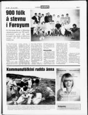 Síða 3
