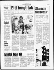Síða 5