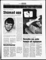 Síða 7
