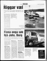 Síða 8