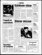 Síða 3