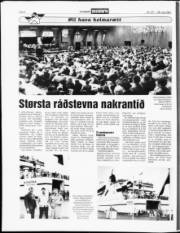 Síða 6