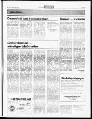 Síða 13