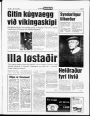 Síða 3