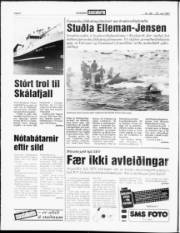 Síða 4