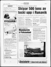 Síða 5