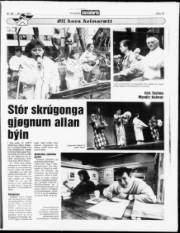 Síða 15