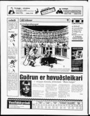 Síða 20