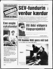 Síða 1
