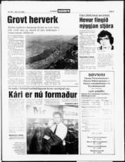Síða 3