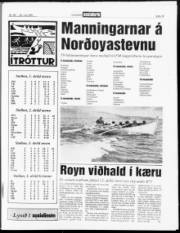 Síða 13