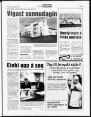Síða 3