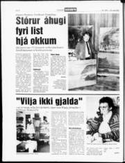 Síða 6