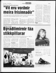 Síða 7