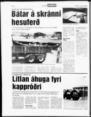 Síða 8