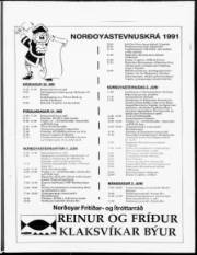 Síða 9