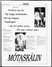 Síða 15