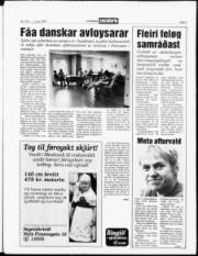 Síða 3
