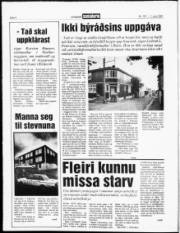 Síða 4