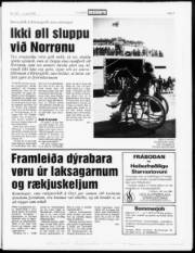 Síða 5