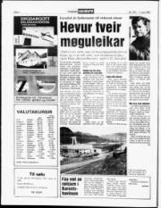 Síða 6