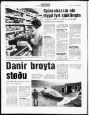 Síða 8