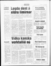 Síða 4