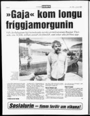 Síða 8