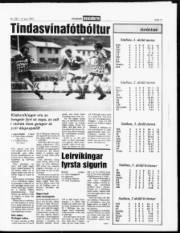 Síða 11