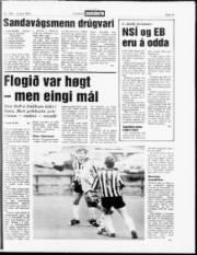 Síða 13