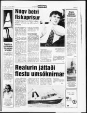 Síða 15