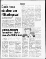 Síða 17