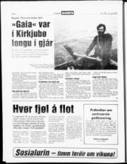 Síða 4
