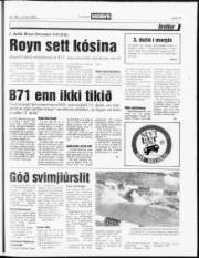 Síða 13