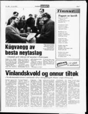 Síða 7