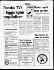 Síða 13