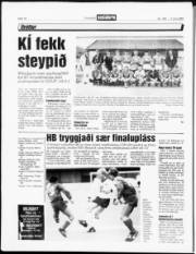 Síða 14