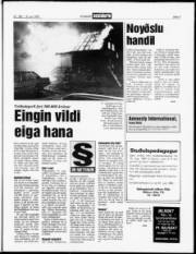 Síða 3