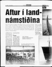 Síða 11