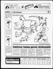 Síða 20