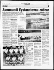 Síða 11