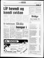 Síða 12