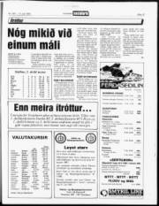 Síða 13