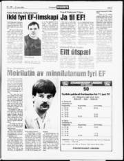 Síða 5