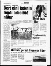Síða 7