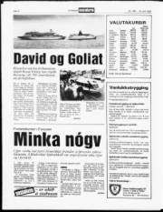 Síða 8