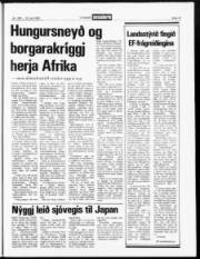 Síða 13