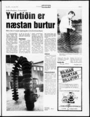 Síða 3